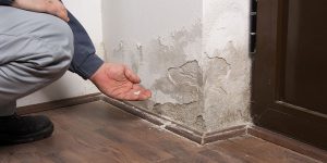 Traitement de l'humidité et moisissures à Mahalon (29790)